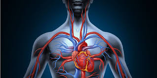 remedial massage for circulation